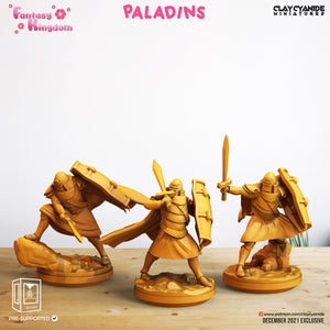 3D Printed Clay Cyanide Fantasy Kingdom - Paladins 28mm 32mm D&D