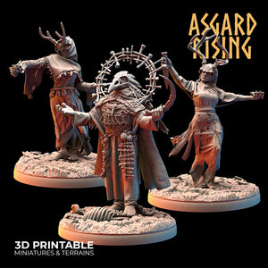 3D Printed Asgard Rising Hofgothi and Priestesses of the Raven Clan - 28 32mm Wargaming DnD