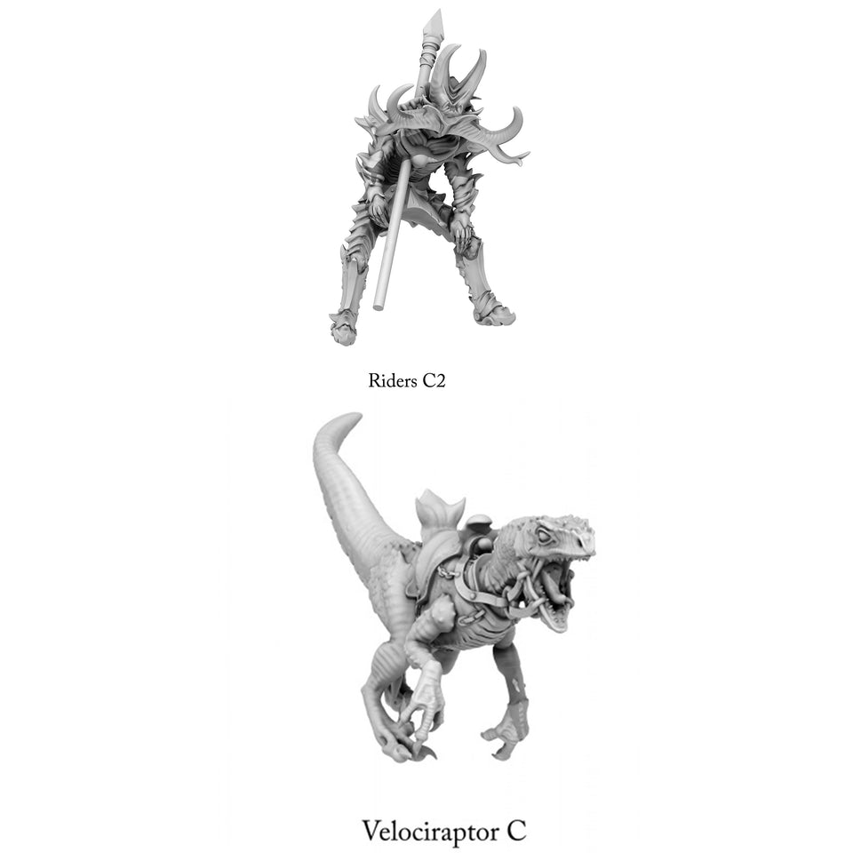 3D Printed Print Your Monsters Dark Elves Rider Set C 28mm - 32mm D&D Wargaming