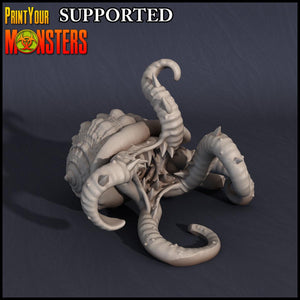 3D Printed Print Your Monsters Kraken Hatchling Dark Water Sanctum 28mm - 32mm D&D Wargaming - Charming Terrain