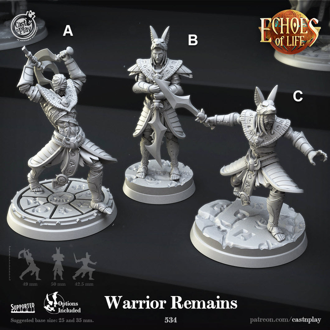 3D Printed Cast n Play Warrior Remains Echoes of Life 28 32mm D&D