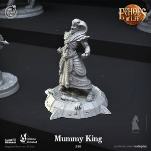 3D Printed Cast n Play Mummy King Echoes of Life 28 32mm D&D