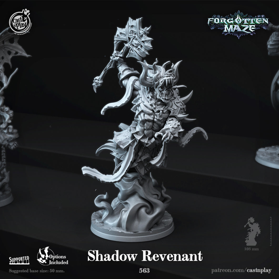 3D Printed Cast n Play Shadow Revenant Forgotten Maze 28mm 32mm D&D