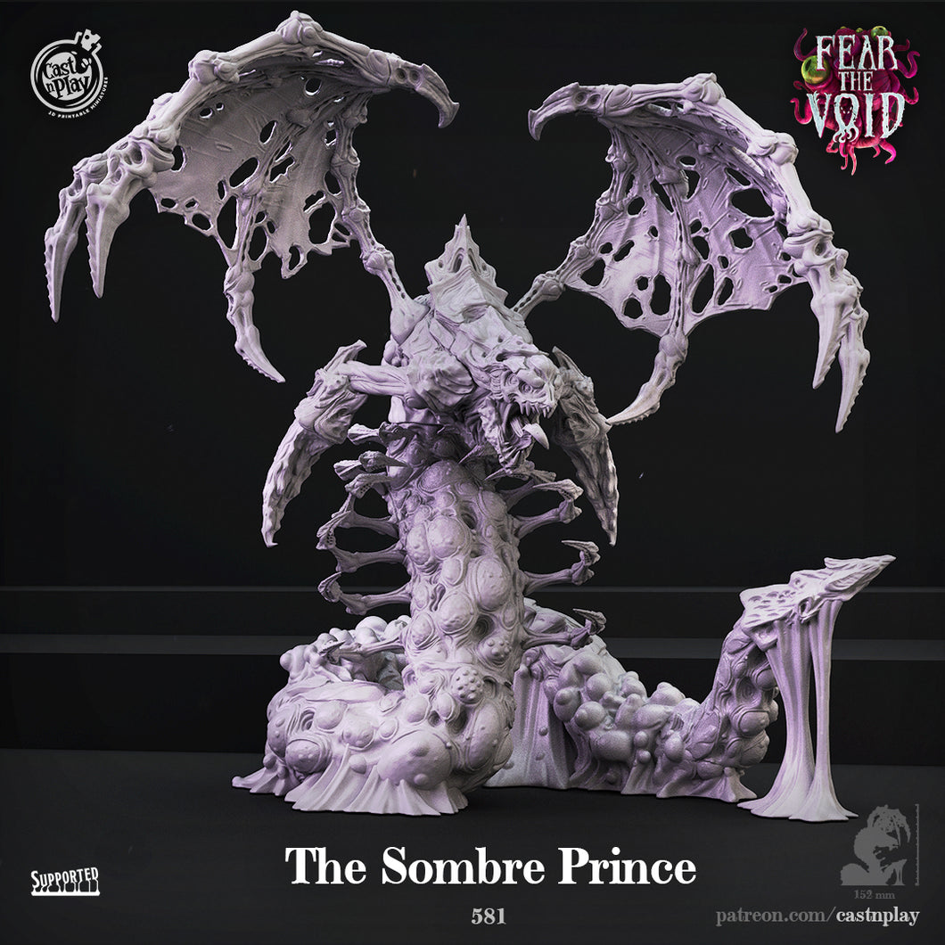 3D Printed Cast n Play The Sombre Prince Fear the Void 28mm 32mm D&D