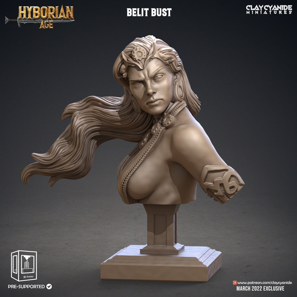 3D Printed Clay Cyanide Belit Bust Hyborean Age Ragnarok D&D