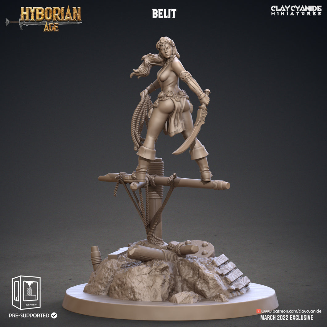 3D Printed Clay Cyanide Belit Hyborean Age Ragnarok D&D