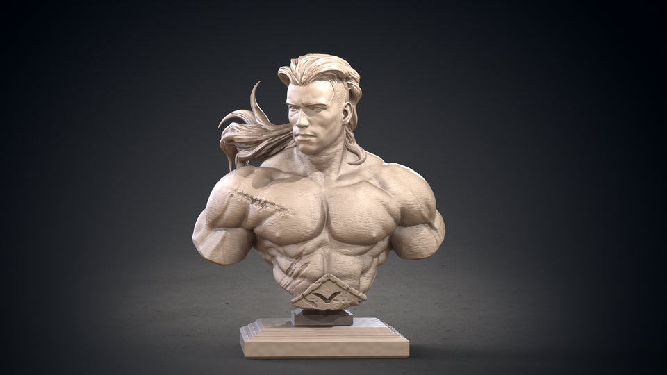 3D Printed Clay Cyanide Conan Bust Hyborean Age Ragnarok D&D