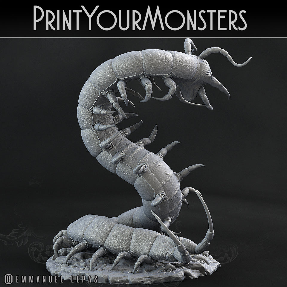 3D Printed Print Your Monsters Giant Centipede Total Insects 28mm - 32mm D&D Wargaming