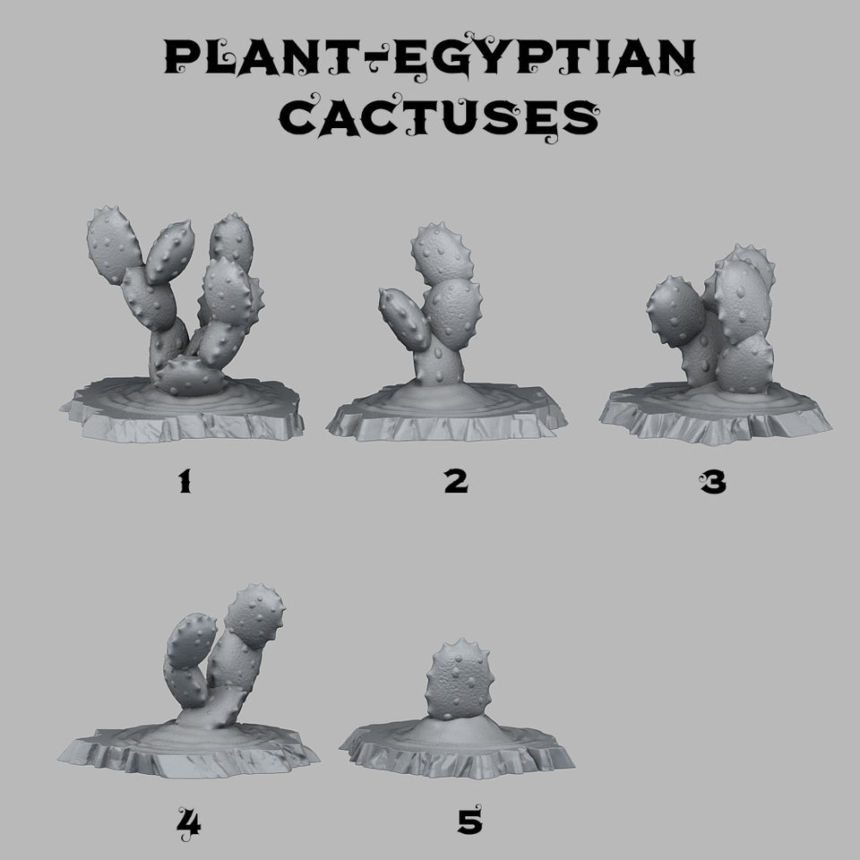 3D Printed Fantastic Plants and Rocks Egyptian Cactuses 28mm - 32mm D&D Wargaming