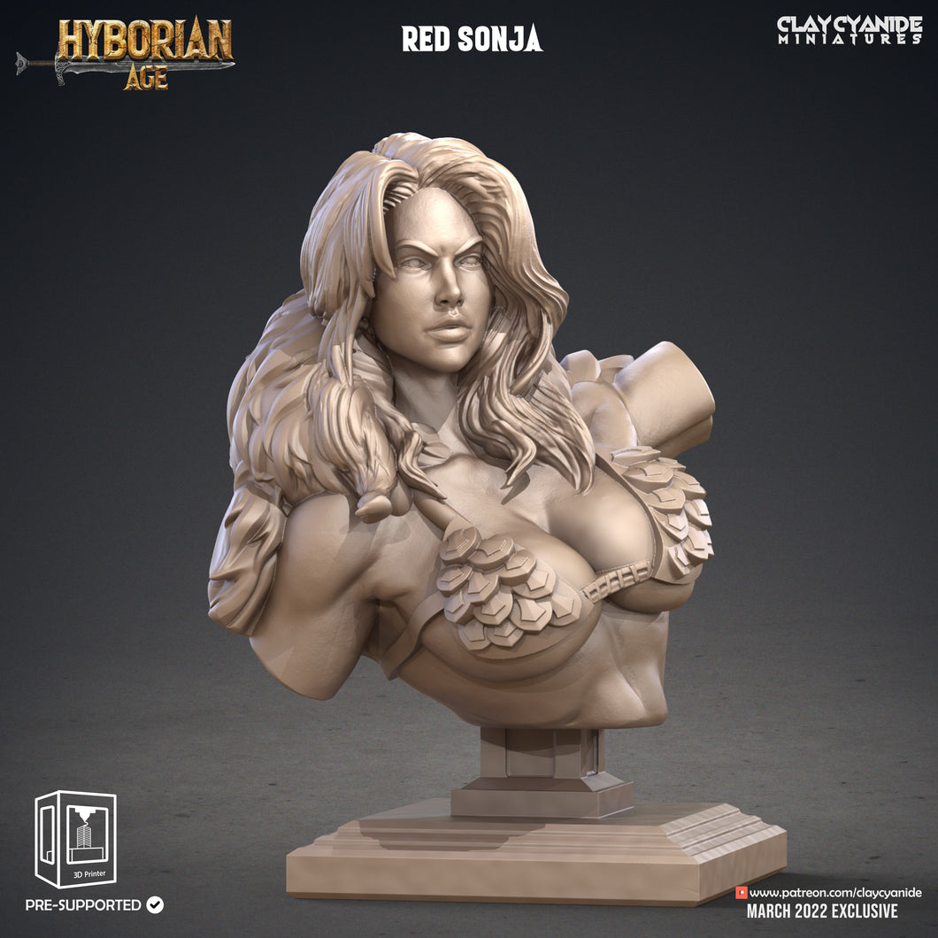 3D Printed Clay Cyanide Red Sonja Bust Hyborean Age Ragnarok D&D