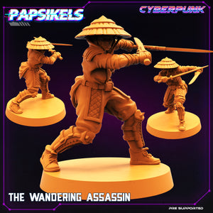 3D Printed Papsikels Cyberpunk Sci-Fi The Wandering Assassin - 28mm 32mm