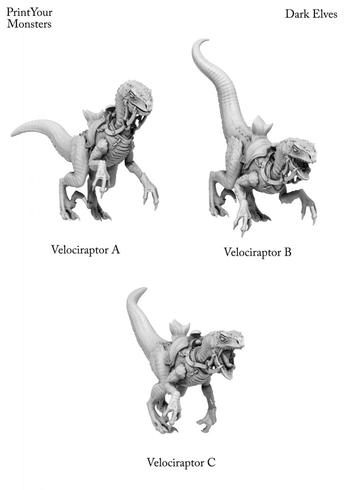 3D Printed Print Your Monsters Dark Elves Raptor Mounts Set 28mm - 32mm D&D Wargaming