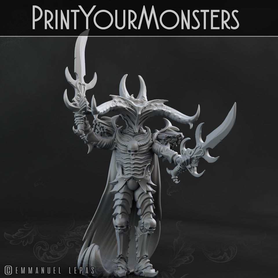 3D Printed Print Your Monsters Dark Elves Chariot and General Set 28mm - 32mm D&D Wargaming
