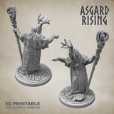 3D Printed Asgard Rising Hofgothi Shaman Seer Wizard | 32mm D&D - Charming Terrain