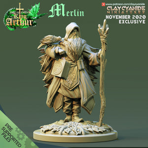 3D Printed Clay Cyanide Merlin The Legend of King Arthur Ragnarok D&D