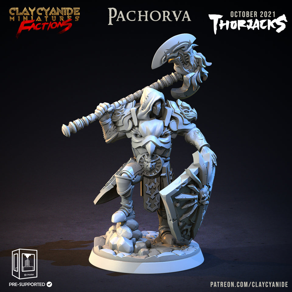 3D Printed Clay Cyanide Thorjacks Tribes Factions Ragnarok D&D