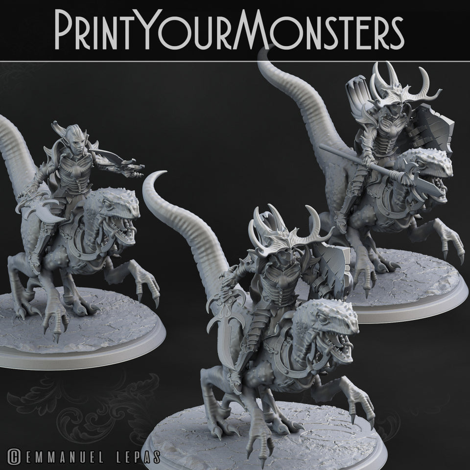 3D Printed Print Your Monsters Dark Elves Rider Set B 28mm - 32mm D&D Wargaming