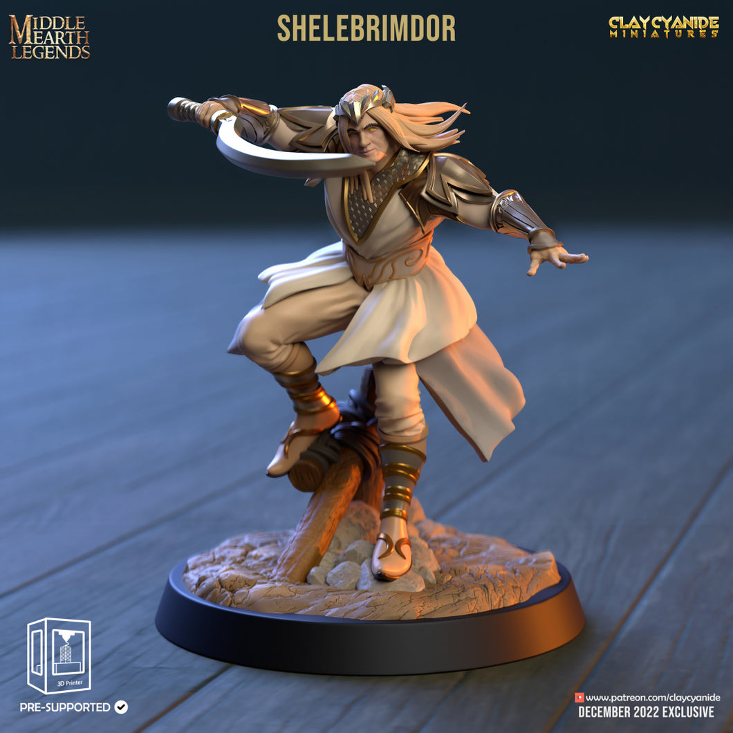 3D Printed Clay Cyanide Shelebrimdor Middle Earth Legends D&D