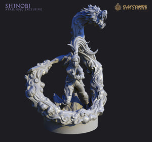 3D Printed Clay Cyanide Shinobi Ragnarok D&D