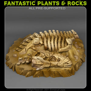 3D Printed Fantastic Plants and Rocks T-REX FOSSIL 28mm - 32mm D&D Wargaming