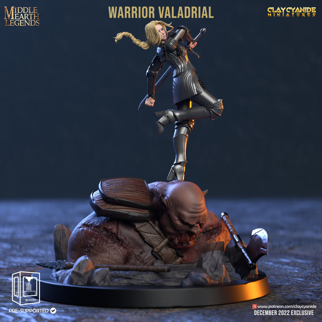3D Printed Clay Cyanide Warrior Valadrial Middle Earth Legends D&D